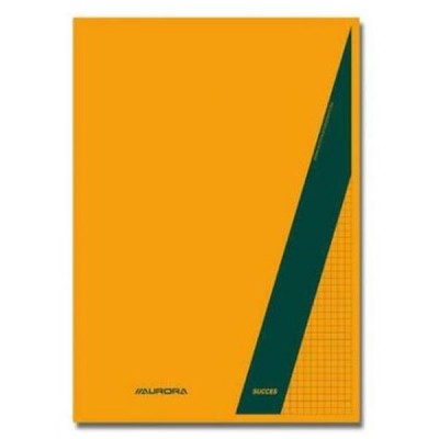 Bloknotas Aurora A4 100 lapų langeliais